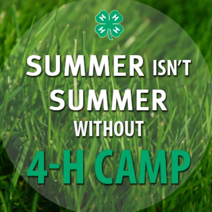 summer isn't summer without 4H camp graphic