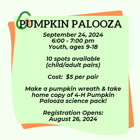 Pumpkin Palooza graphic