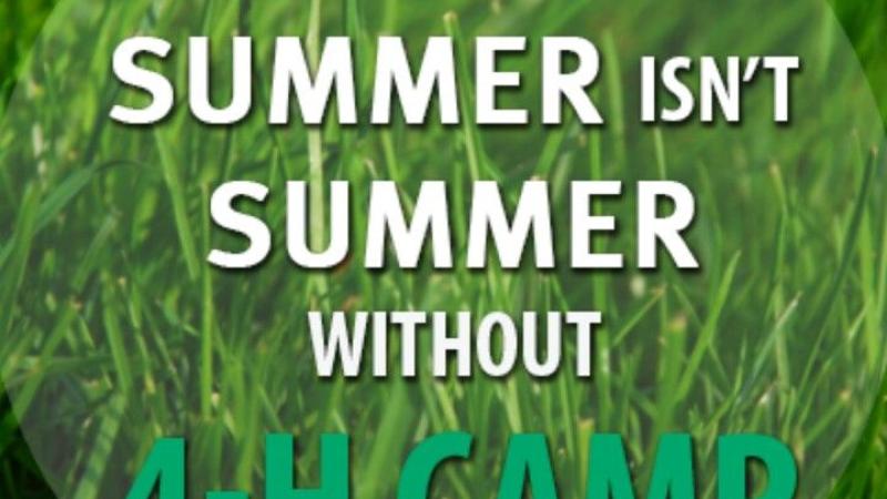 summer isn't summer without 4H camp graphic